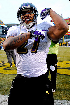NFL 2010 - Jan 15 - Baltimore Ravens at Pittsburgh Steelers