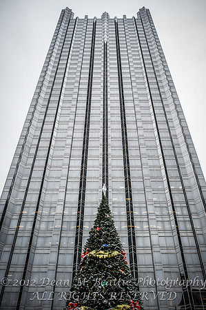 PPG Winter Garden