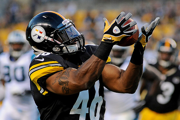 NFL 2012 - Panthers defeated by Steelers 17-16