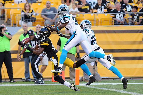 NFL 2012 - Panthers defeated by Steelers 17-16