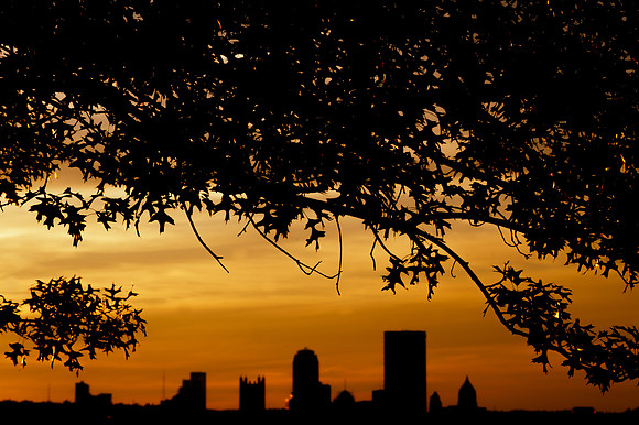 Amber Glow Over Pittsburgh from Schenley Park.