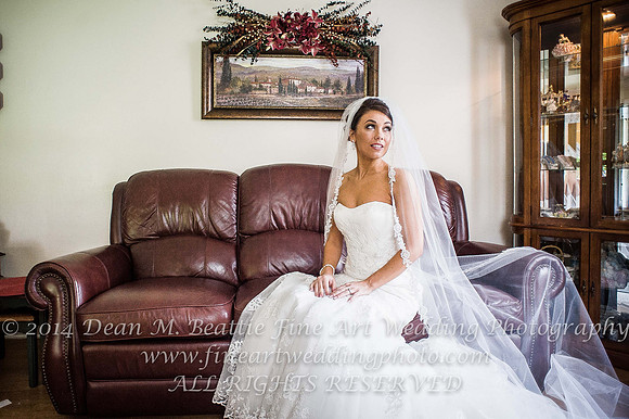 Sheaffer DiPaolo Wedding