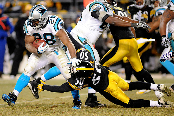 NFL 2010 - Dec 23 - Carolina Panthers At Pittsburgh Steelers