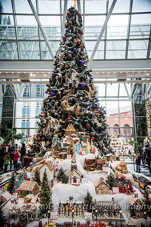 PPG Winter Garden