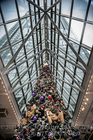 PPG Winter Garden