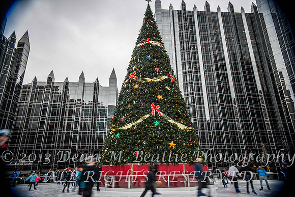 PPG Winter Garden