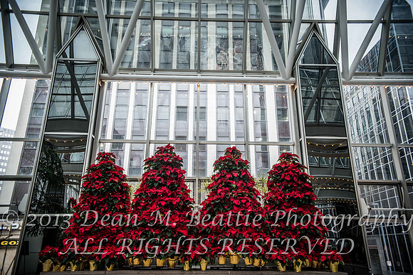 PPG Winter Garden